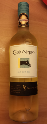 Gato Negro